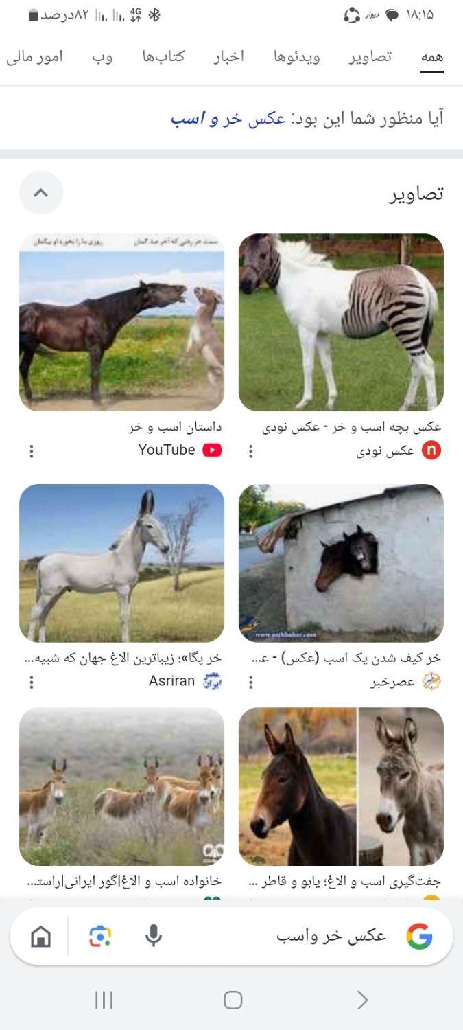 اسب و خر پیدا شد با دادن نشانی ان را تحویل بگیرید|حیوانات|قوچان, |دیوار