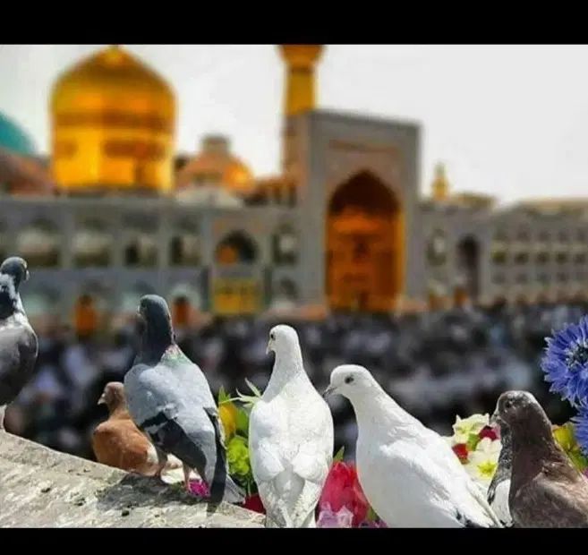 سفری رویایی باتوگردشگری دیارمهر|تور و چارتر|اصفهان, علی قلی آقا|دیوار