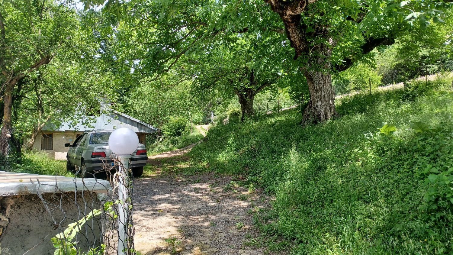 اجاره سوییت نوسازجنگلی روستایی|اجارهٔ کوتاهمدت آپارتمان و سوئیت|توتکابن, |دیوار