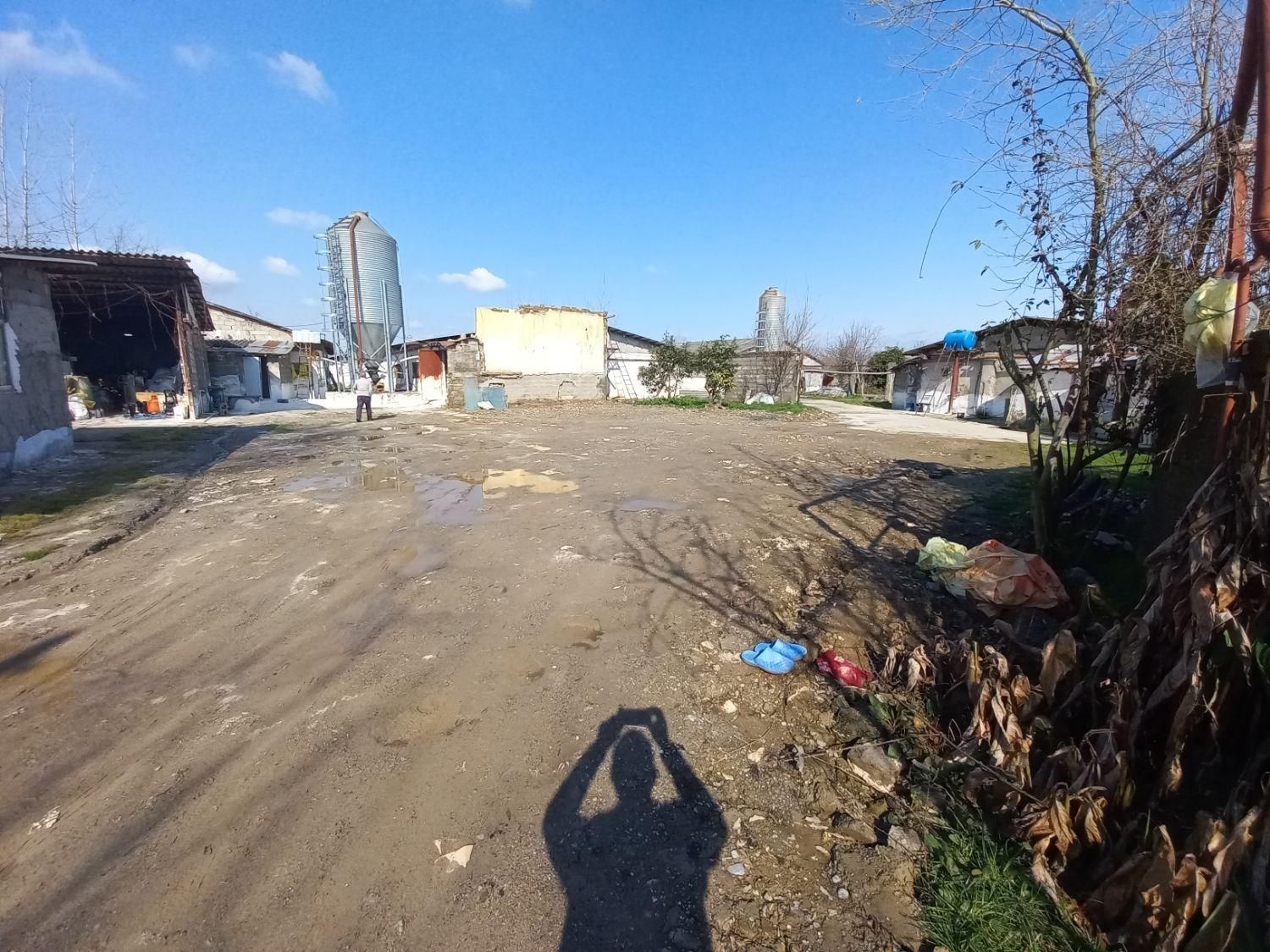 فروش مرغداری ۲۵هزار قطعه گیلان|فروش دفتر صنعتی، کشاورزی، تجاری|خمام, |دیوار