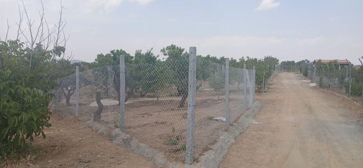 ۱۰۰۰ متر باغ با فنس محصور شده|فروش دفتر صنعتی، کشاورزی، تجاری|سامان, |دیوار