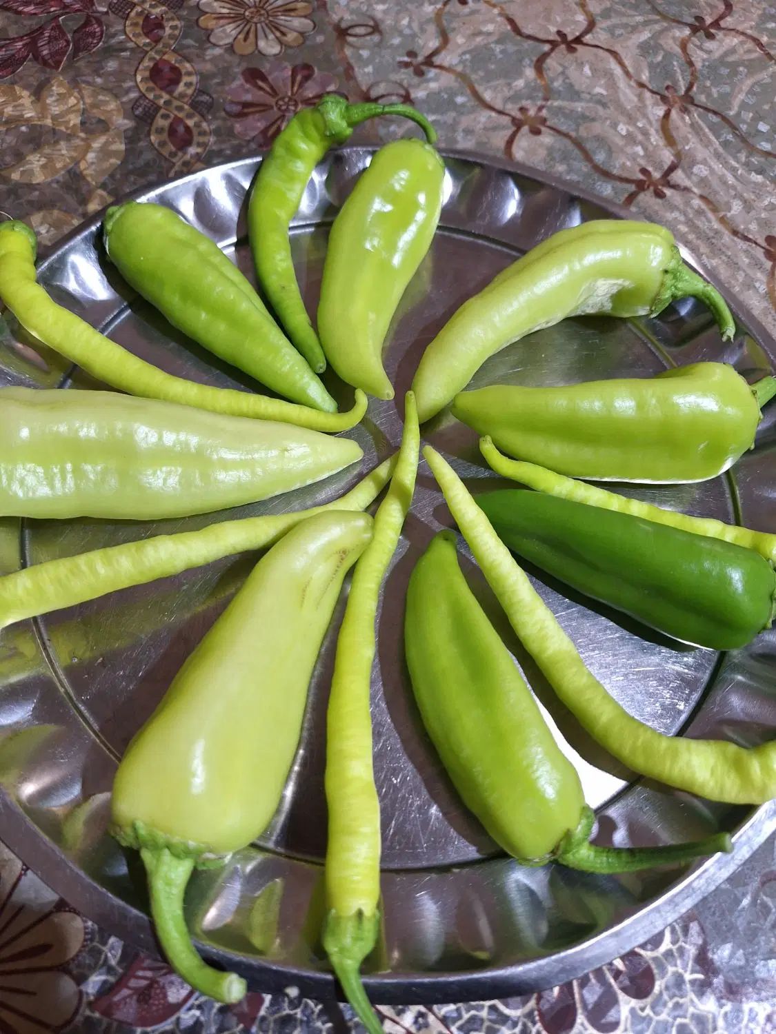 سبزی تازه و فلفل شیرین و نرم روستای گاومیشان|خوردنی و آشامیدنی|دره شهر, |دیوار