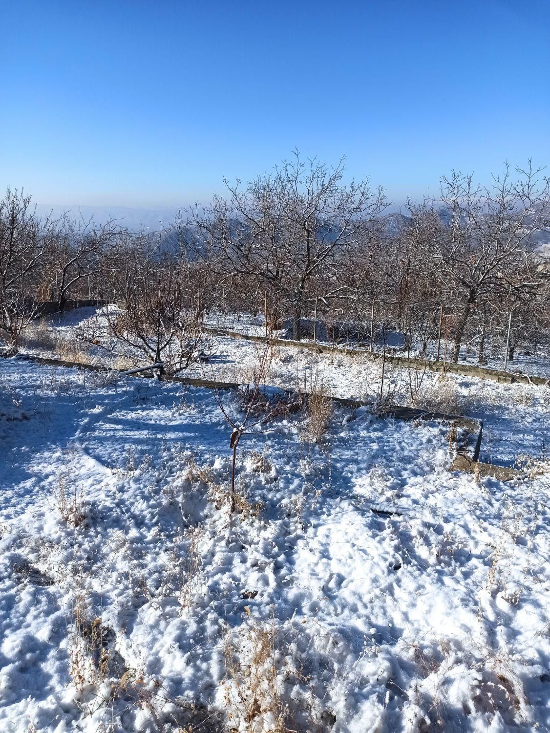 فروش خونه باغ در شهر توریستی و گردشگری سیسخت|فروش خانه و ویلا|سیسخت, |دیوار