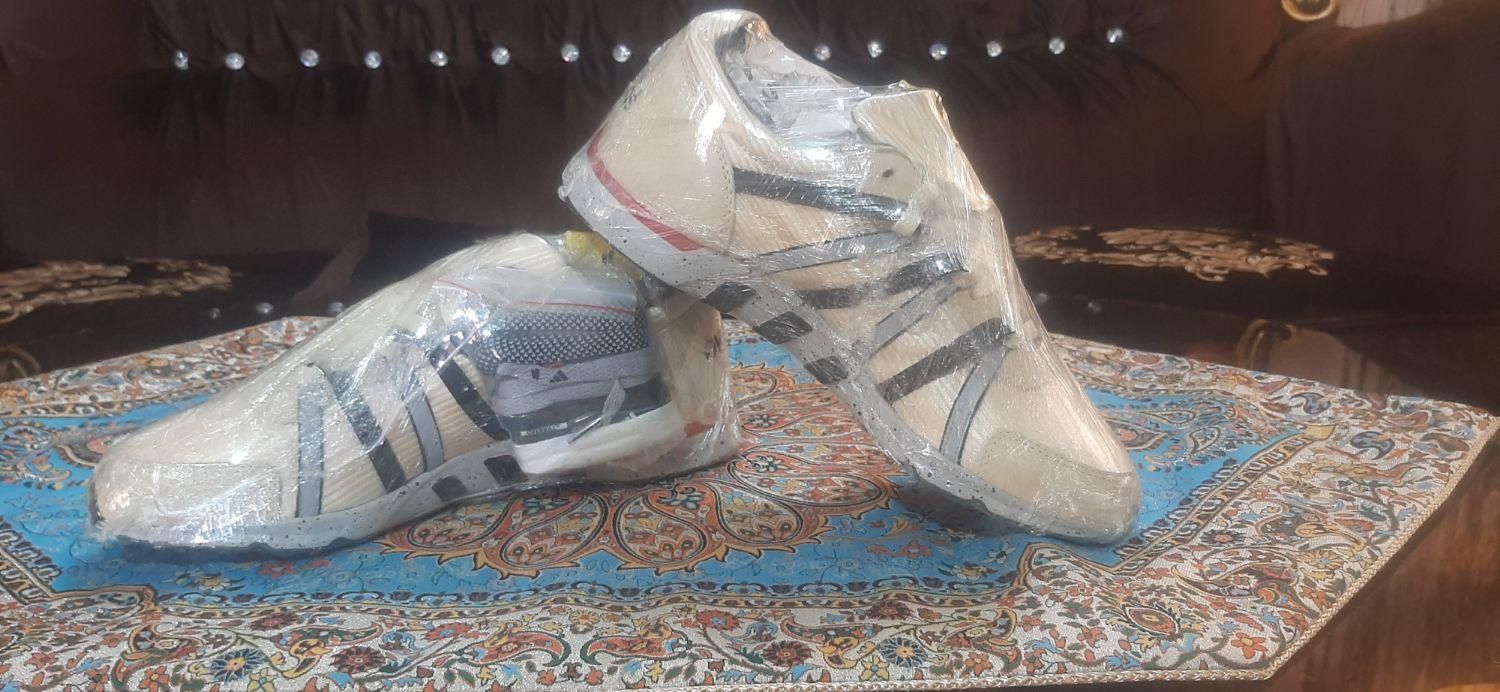 کتونی اکومنت تاکسی گلد اورجینال به شرط کارشناسی|کیف، کفش، کمربند|تهران, ایران|دیوار