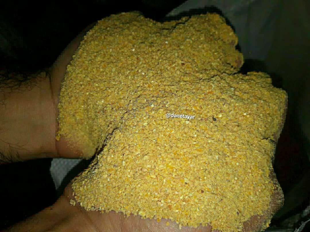 دان،خوراک بوقلمون برنز،بیوتی،بربون|لوازم جانبی حیوانات|کرج, آق تپه|دیوار