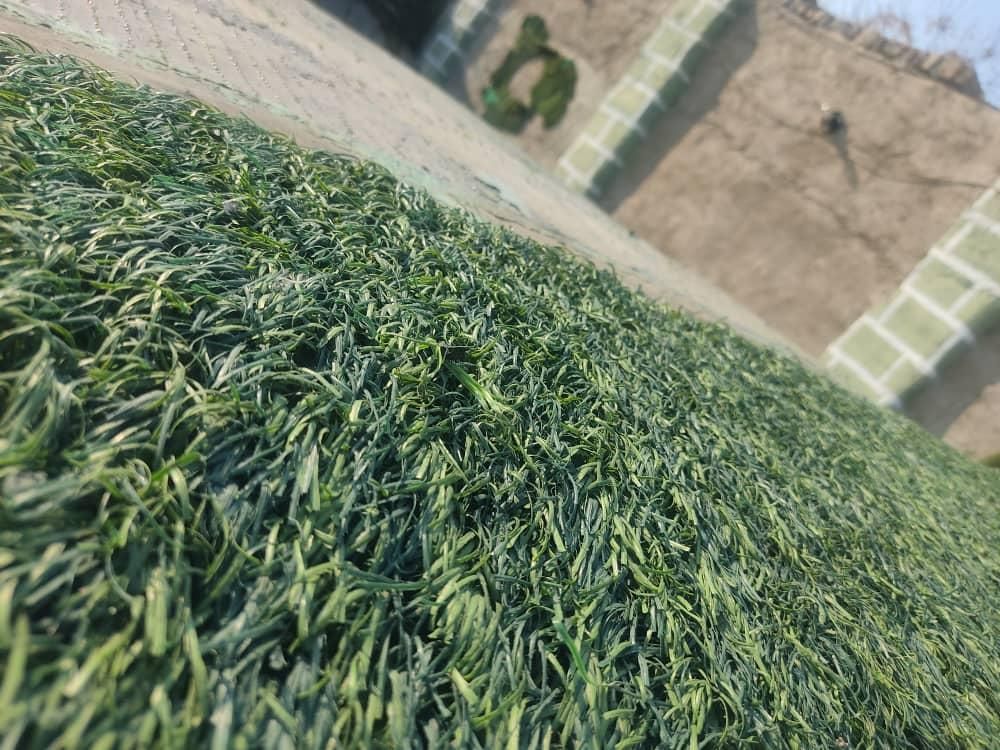 چمن مصنوعی|عمده‌فروشی|ماسال, |دیوار