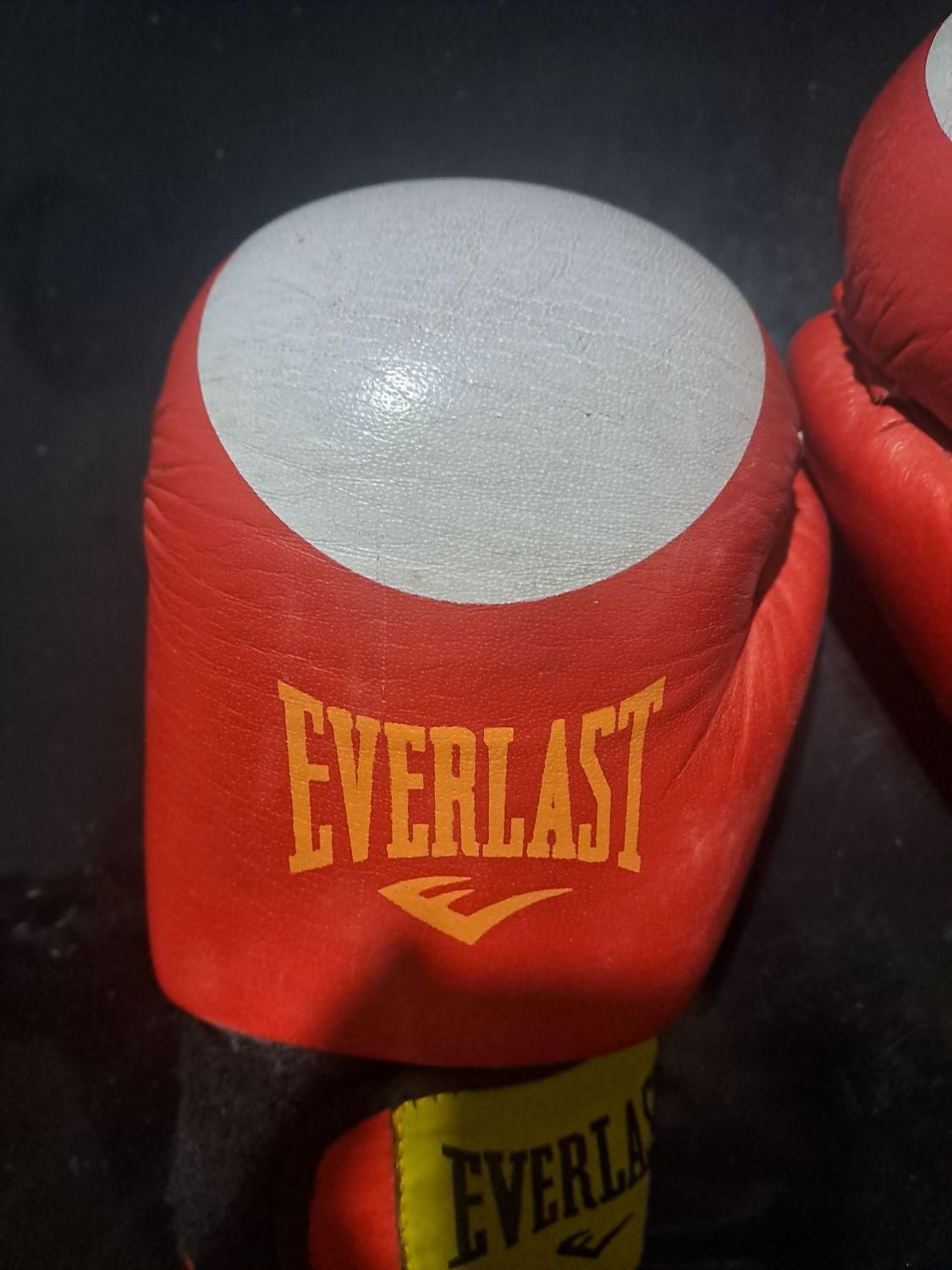 دستکش بوکس everlast|تجهیزات ورزشی|بیرجند, |دیوار