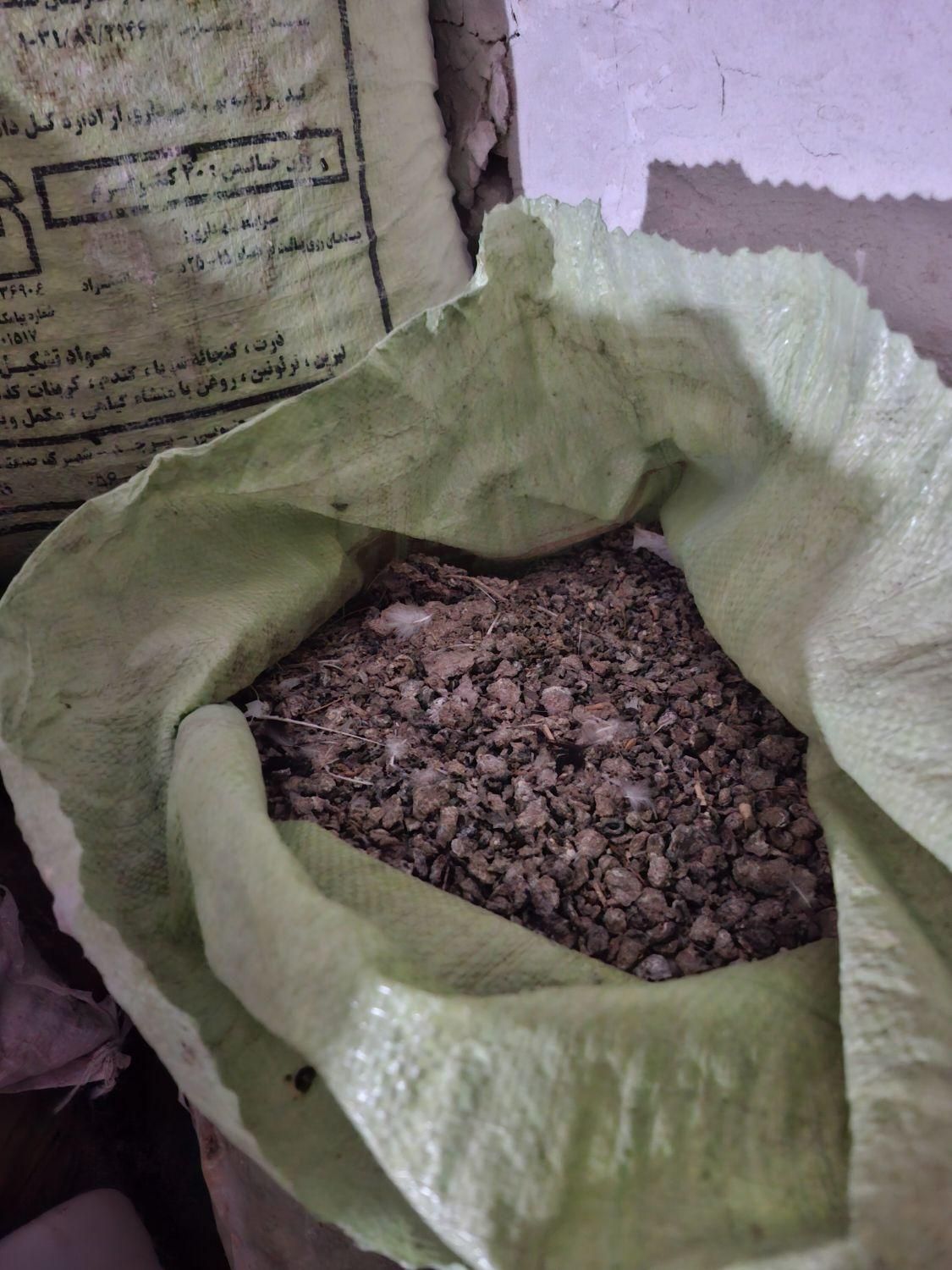 کود کبوتر|گل و گیاه طبیعی|تربت جام, والفجر|دیوار