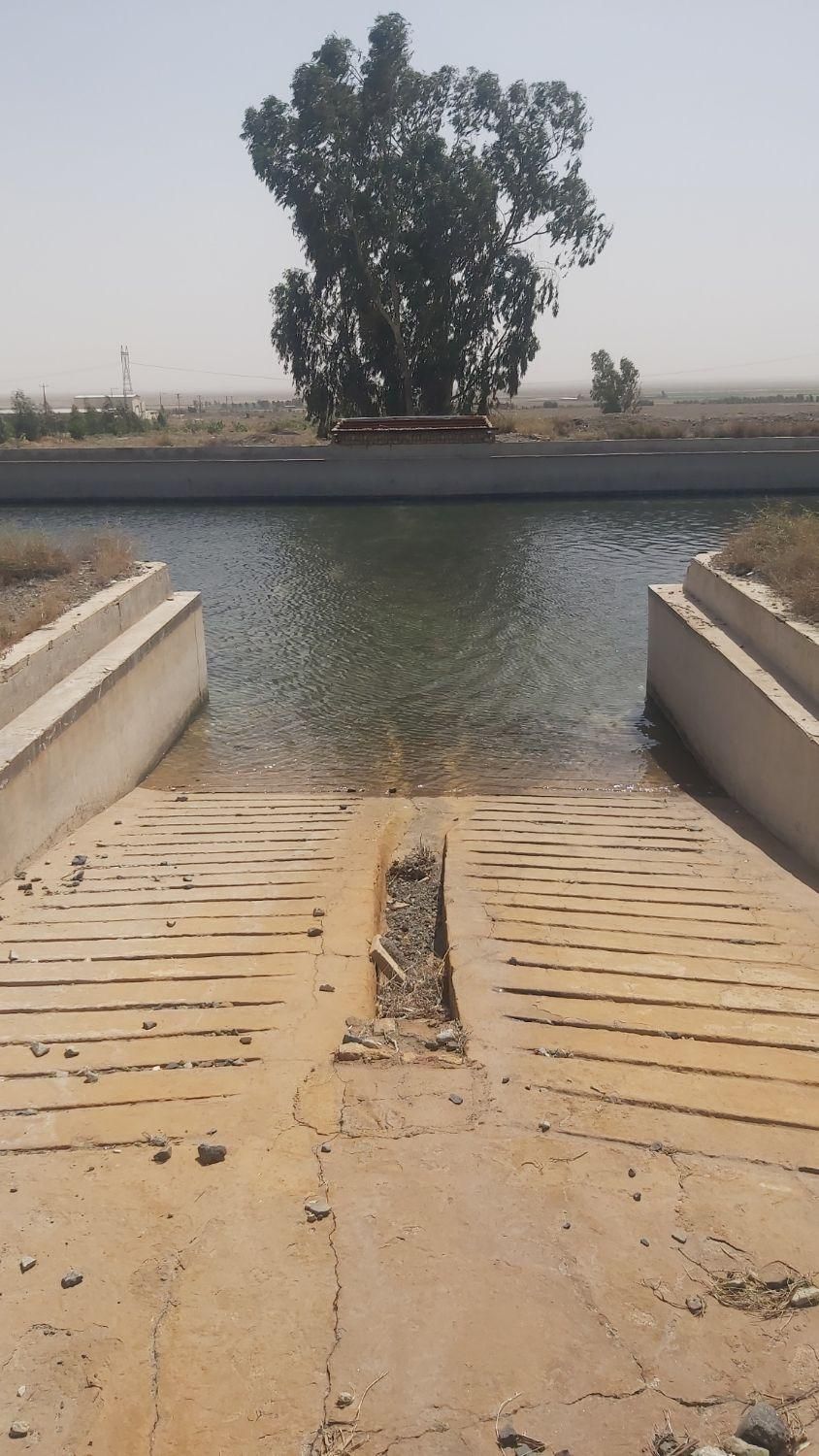 باغ پسته 34هزار متر کاشان|فروش دفتر صنعتی، کشاورزی، تجاری|کاشان, مشکات|دیوار