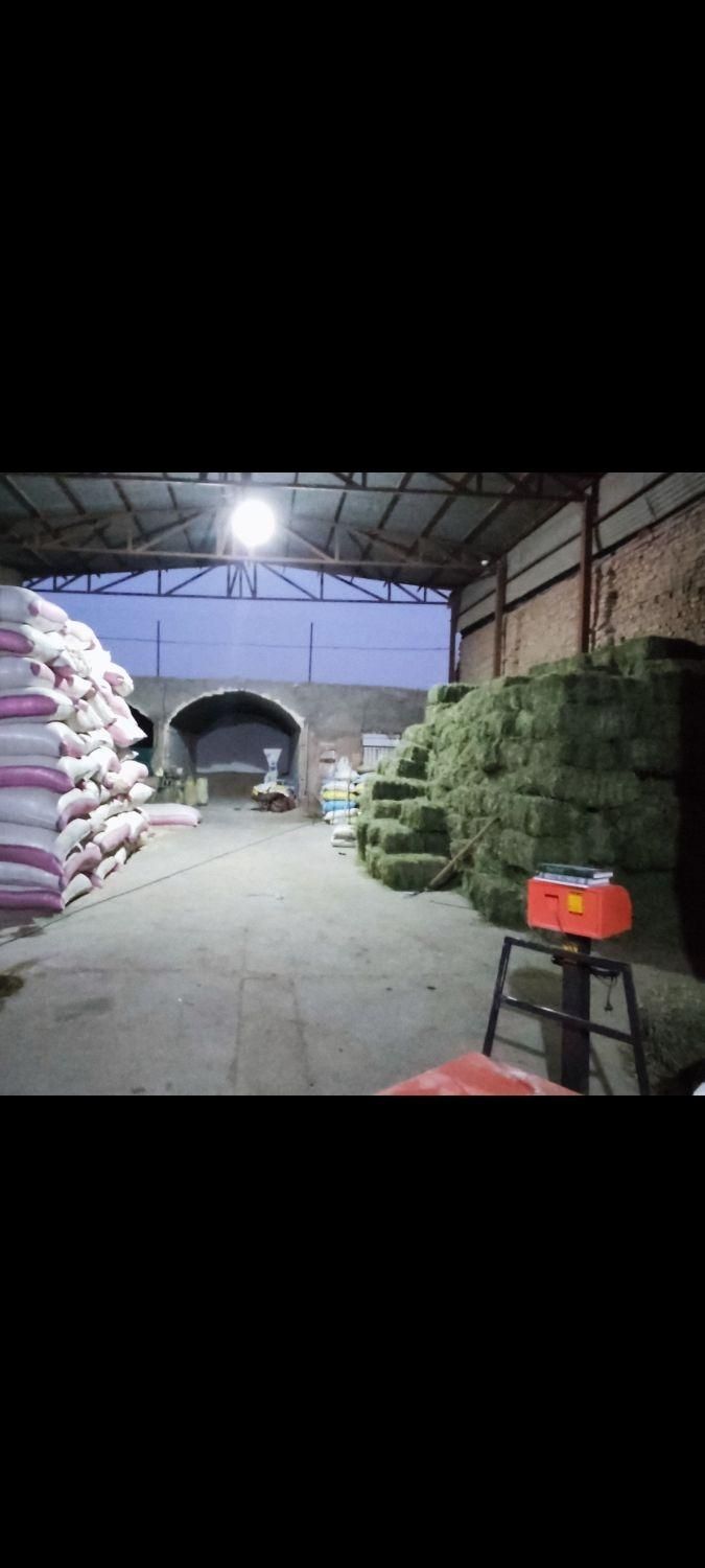 انبار خوراک دام|لوازم جانبی حیوانات|یزد, |دیوار