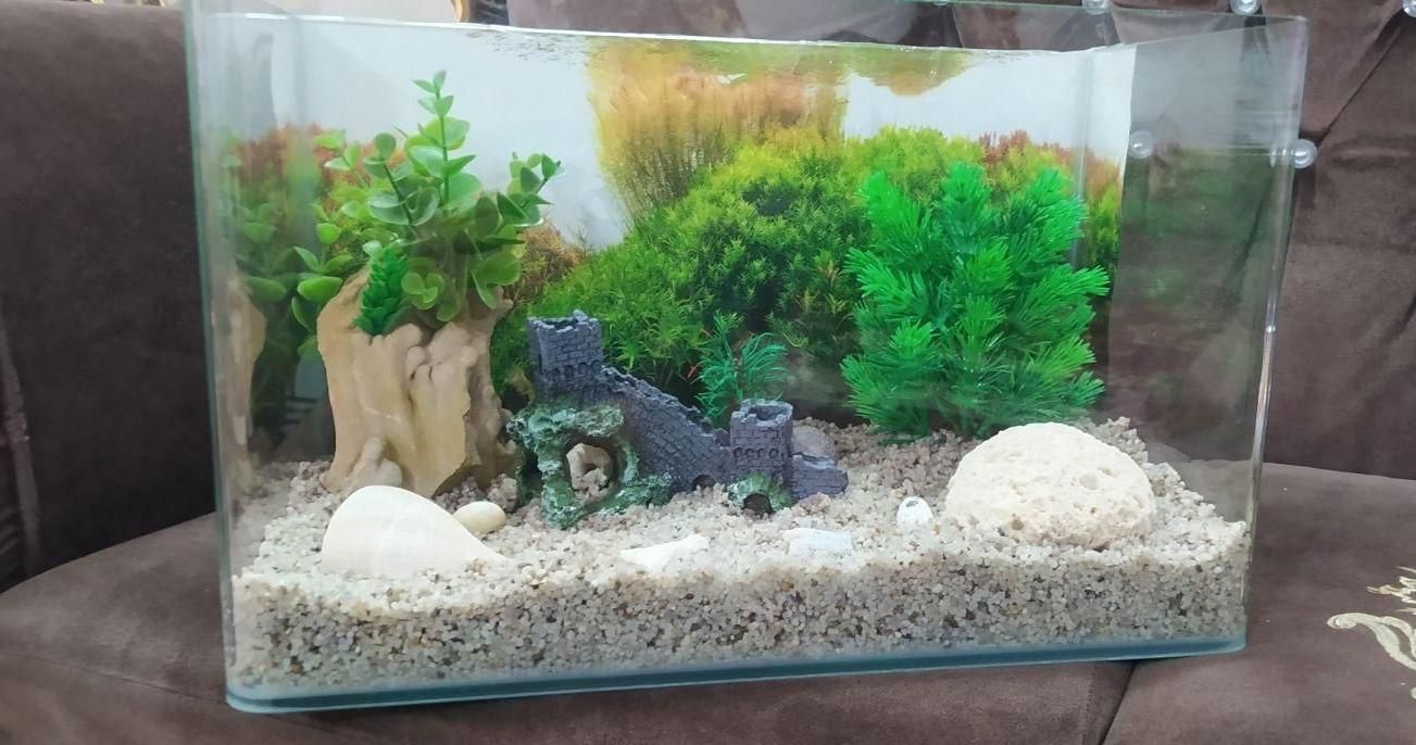 آکواریم شیشه خم|ماهی|نی‌ریز, |دیوار