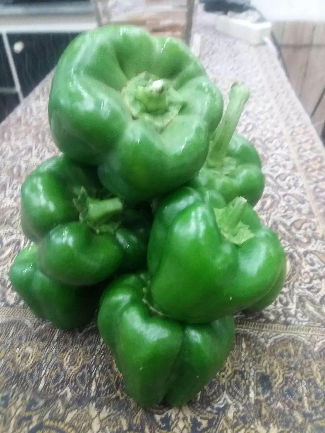 هلو شیرین کیلو ۵۰تومان  فلفل دلمه ۴۵گوجه ۱۵|خوردنی و آشامیدنی|شیراز, دارالرحمه|دیوار