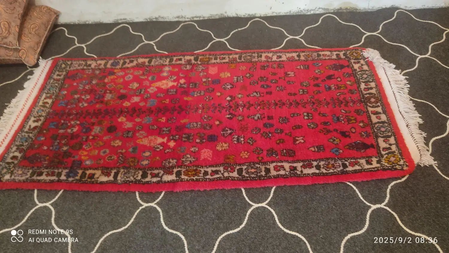 فروش سه عدد قالیچه دستباف یک متر درهشاد یک متر|گلیم، جاجیم، گبه|شیراز, ده پیاله|دیوار