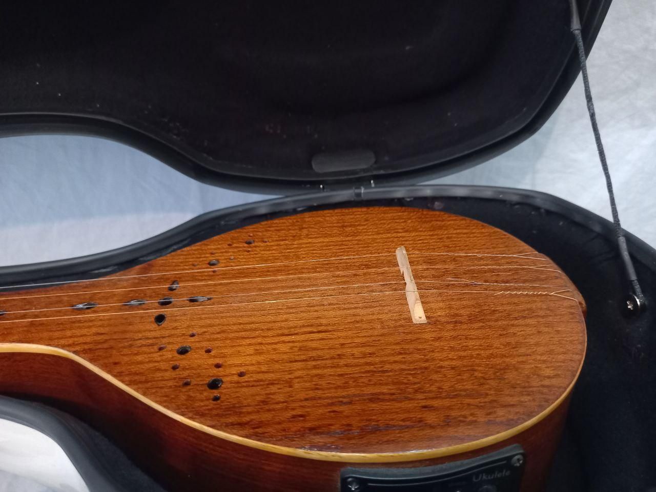 هاردکیس فایبرگلاس سه تار|سازهای سنتی|تهران, تهرانپارس شرقی|دیوار