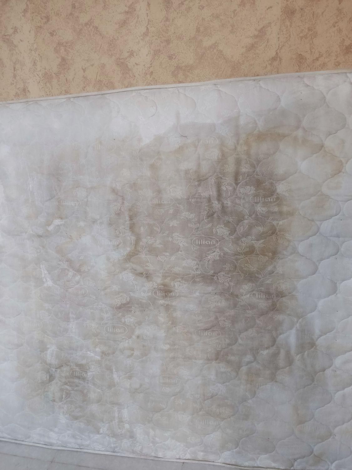 قالیشویی مبلشویی سراج والفجر باهنر پاسارگاد زاگرس|خدمات نظافت|شیراز, شهرک سراج|دیوار