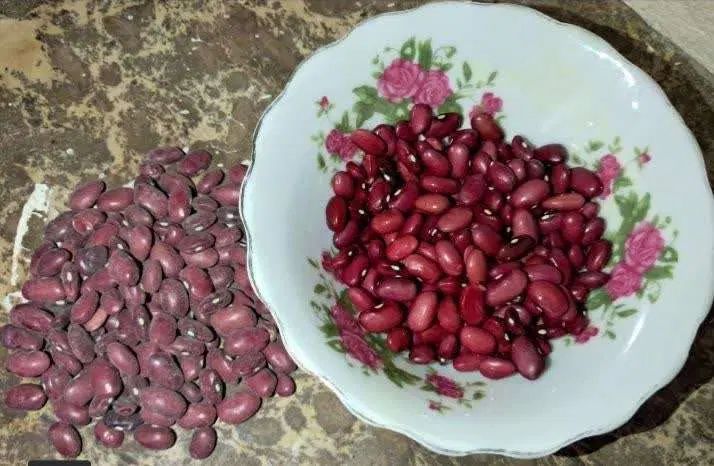 فروش لوبیاسفید و قرمز و نخود|خوردنی و آشامیدنی|تهران, حر|دیوار