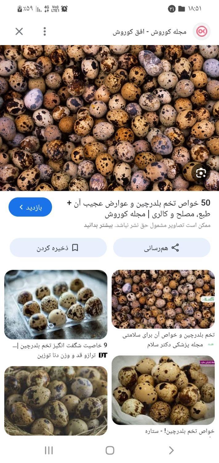 تخم بلدرچین تولید روز|خوردنی و آشامیدنی|یزد, |دیوار