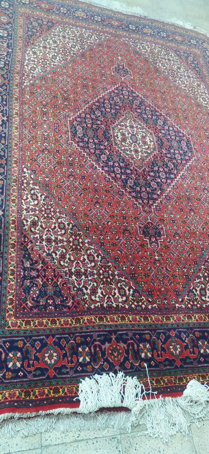 فرش سالم بدون ایراد|فرش|اردبیل, |دیوار