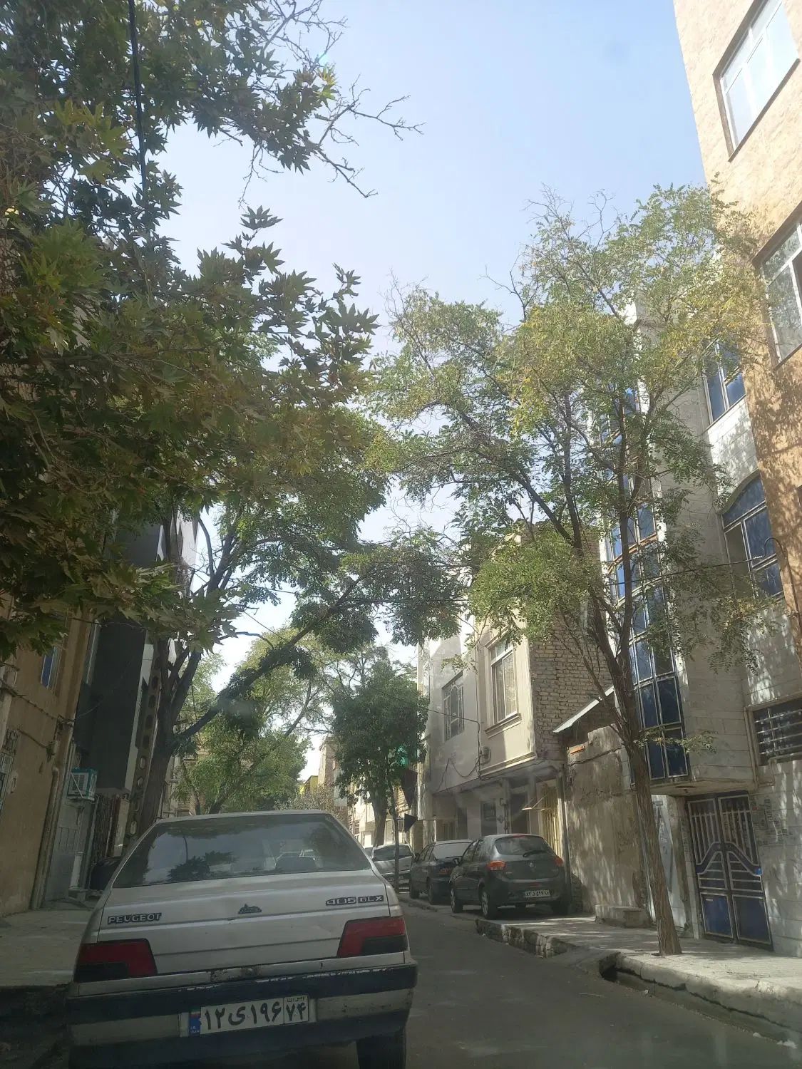 سه واحد نقلی مجزا|فروش آپارتمان|مشهد, ابوذر|دیوار