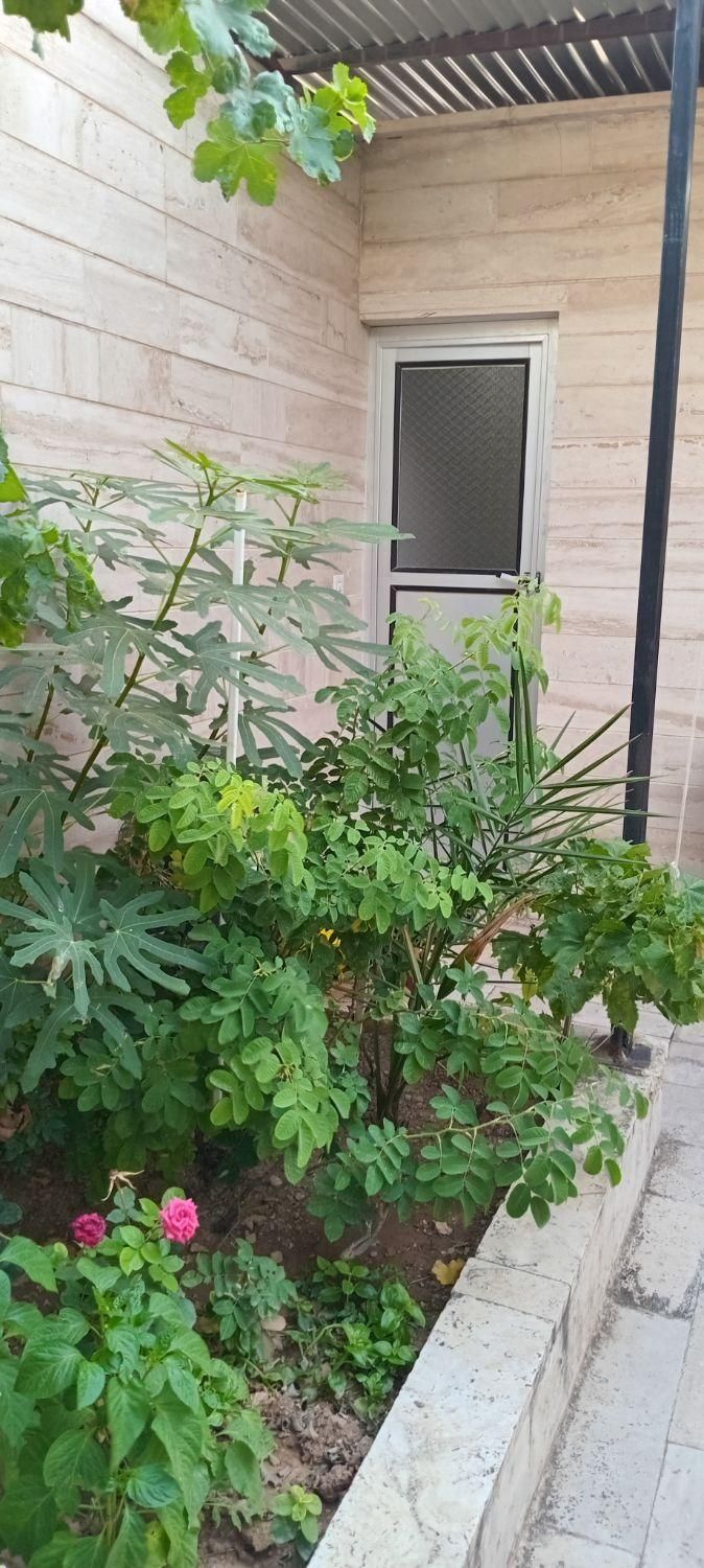 اجاره روزانه/هفتگی/ سوئیت  متری|اجارهٔ کوتاه‌مدت آپارتمان و سوئیت|محلات, |دیوار