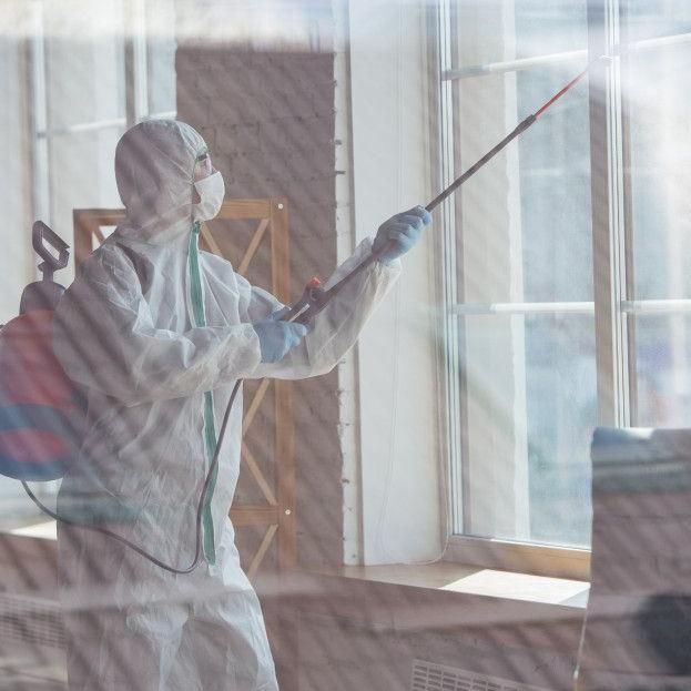 مرکزسم پاشی وضدعفونی سمپاشی تمامی حشرات|خدمات نظافت|کرمانشاه, |دیوار