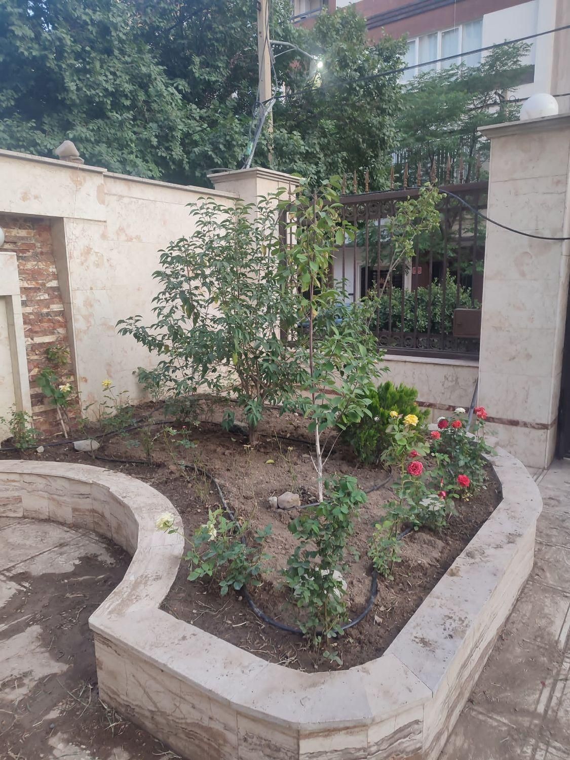خدمات باغبانی|خدمات باغبانی و درختکاری|کرج, کوی کارمندان شمالی|دیوار