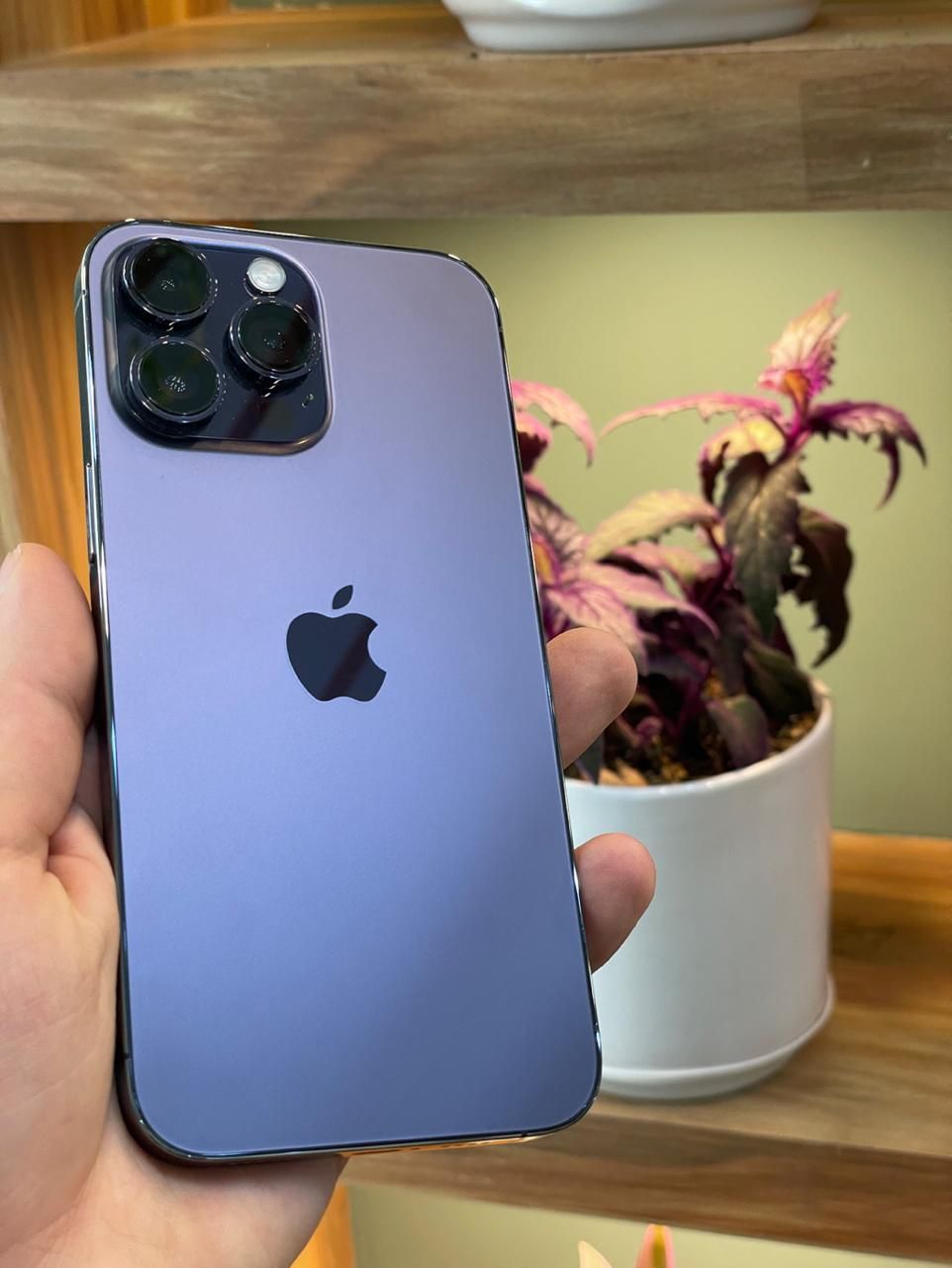Iphone 14 promax نقد و اقساط|موبایل|مشهد, عامل|دیوار