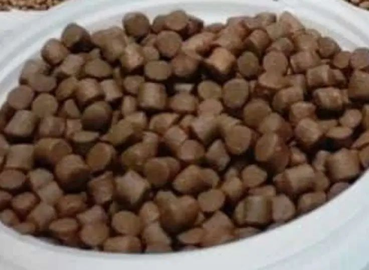 غذا ماهی بیومار لوفاک|ماهی|تهران, استاد معین|دیوار