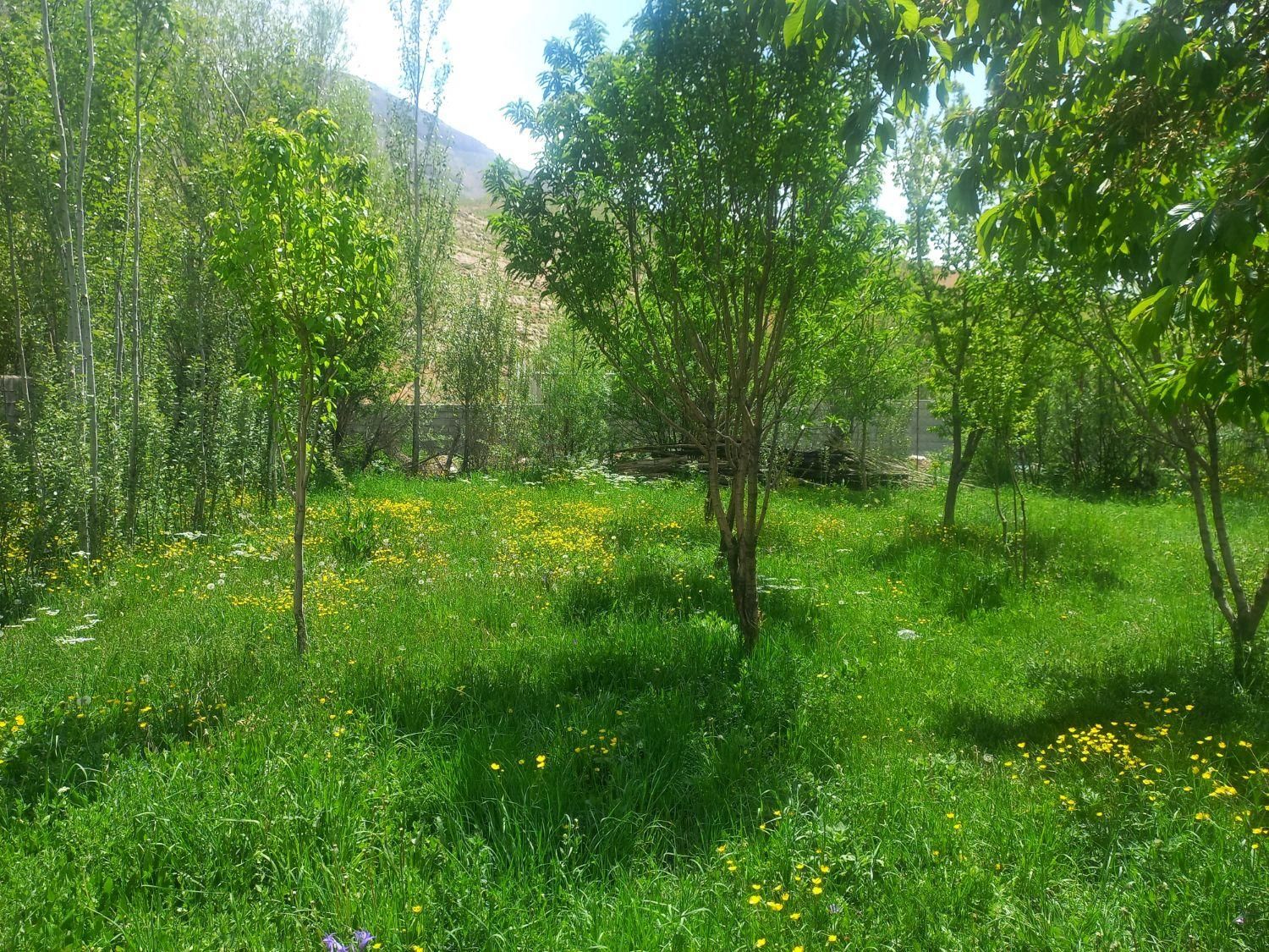 اجاره ویلا سوییت آپارتمان درکوهرنگ (چلگرد)|اجارهٔ کوتاه‌مدت ویلا و باغ|شهرکرد, |دیوار