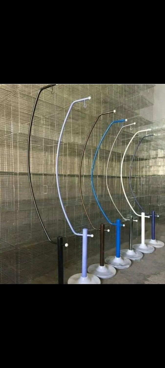 حراج بلک فرایدی طوطی کوتوله عروس هلندی دونخوروبالغ|پرنده|اصفهان, آبشار|دیوار