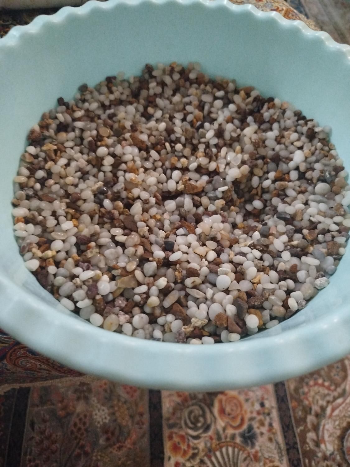 آکواریوم دلسا k250|ماهی|تهران, بهجت‌آباد|دیوار