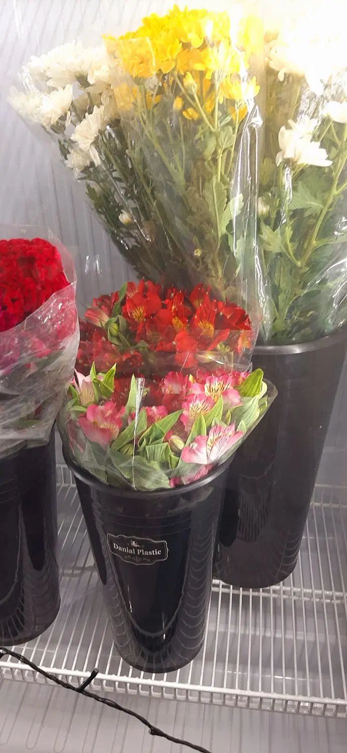 دسته گل|گل و گیاه طبیعی|اصفهان, ملک‌شهر|دیوار