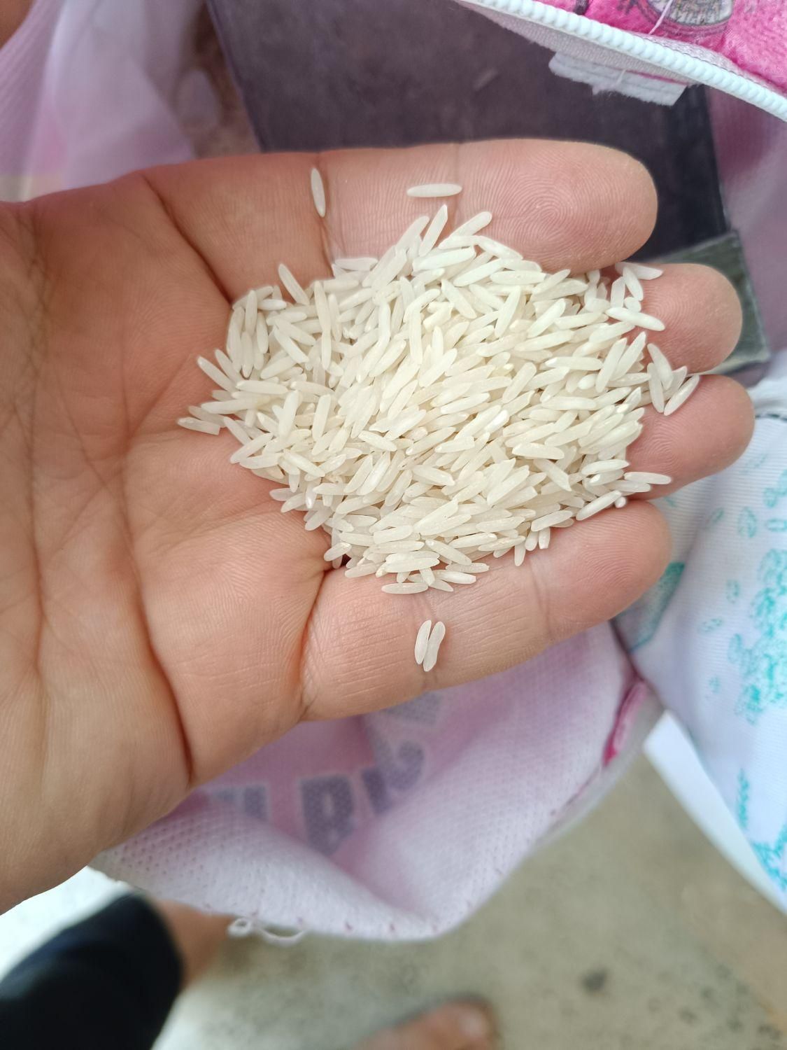 برنج پاکستانی|خوردنی و آشامیدنی|قم, شاه ابراهیم|دیوار