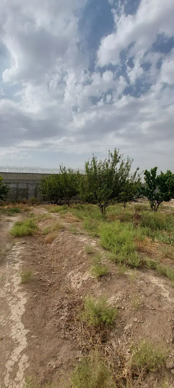 زمین 850 متری سندتک برگ/شهریار/دهشاد/باغستان|فروش خانه و ویلا|شهریار, دهشاد بالا|دیوار