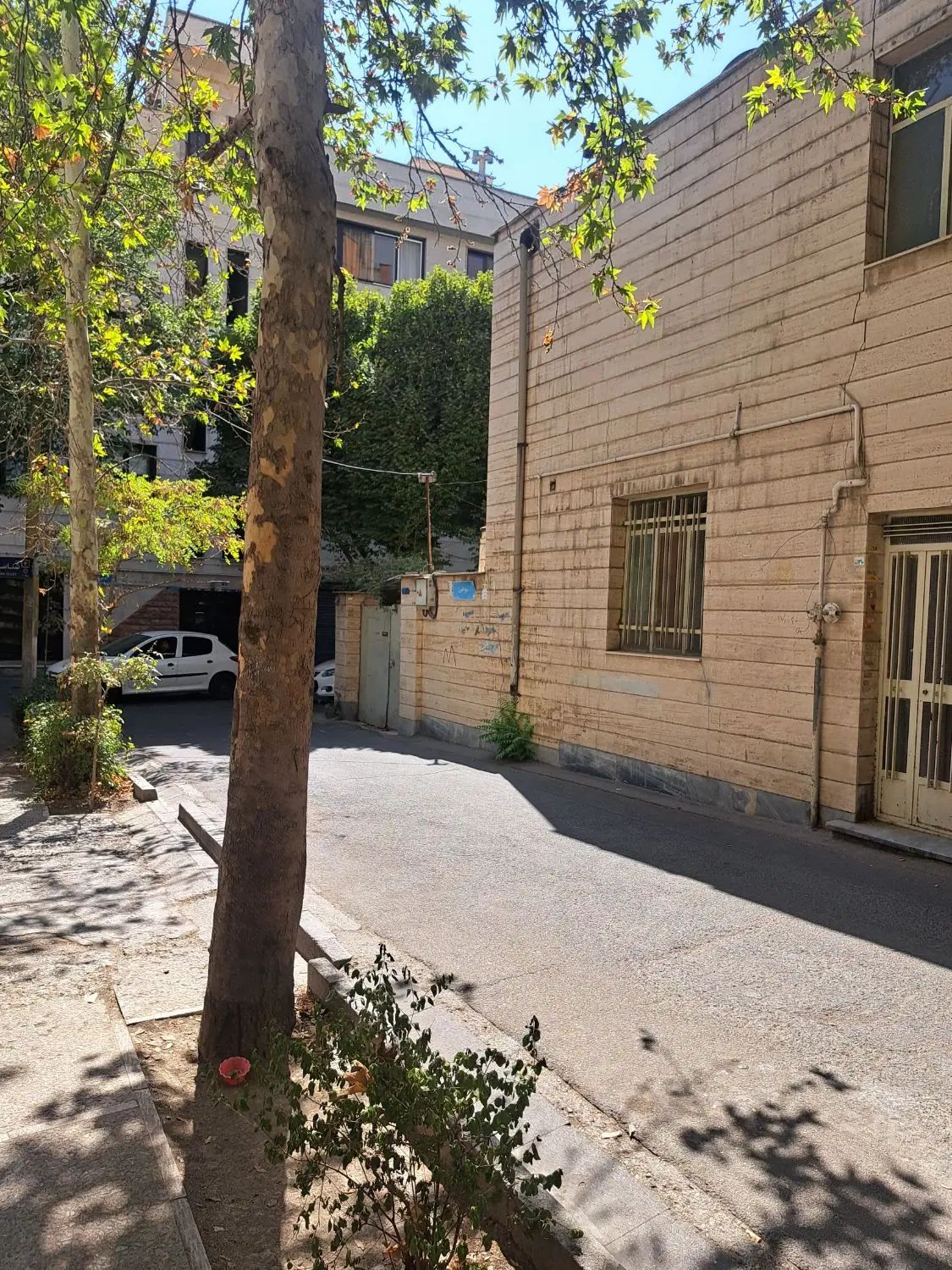 دیباجی، ۲۲۰ متر زمین بر ۱۲ شمالی دارای ۳۵۰ متر بنا|فروش زمین و ملک کلنگی|تهران, اختیاریه|دیوار