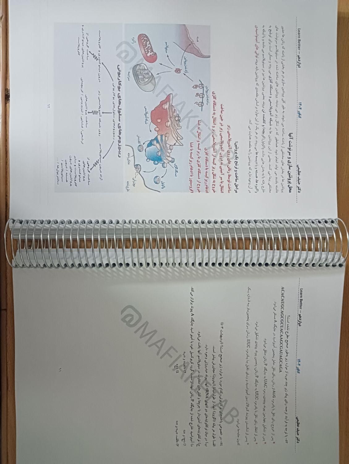 جزوه رنگی زیست حنیف عظیمی سالیانه جامع ۱۴۰۴ تاملند|کتاب و مجله آموزشی|مشهد, سرافرازان|دیوار