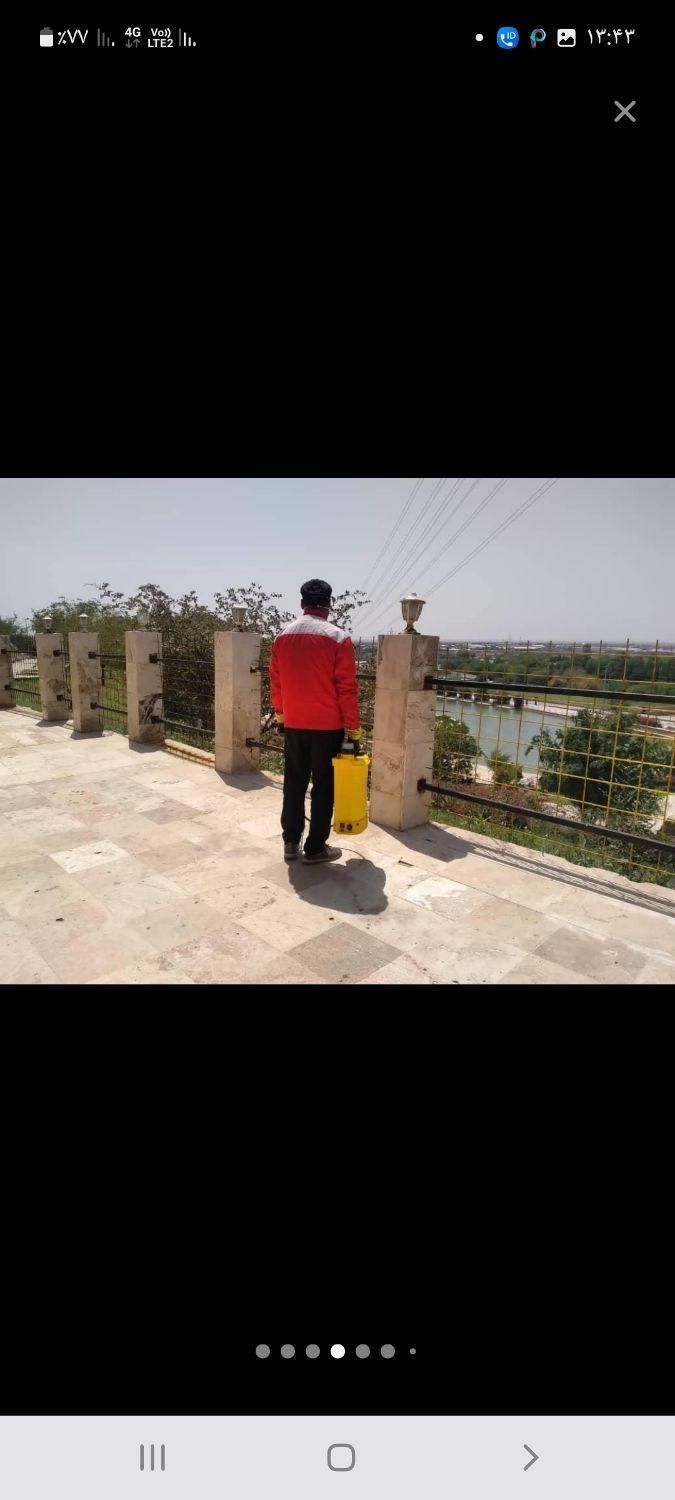 (شرکت سمپاشی منازل)سم پاشی موریانه ساس سوسک موش|خدمات نظافت|اهواز, سپیدار|دیوار