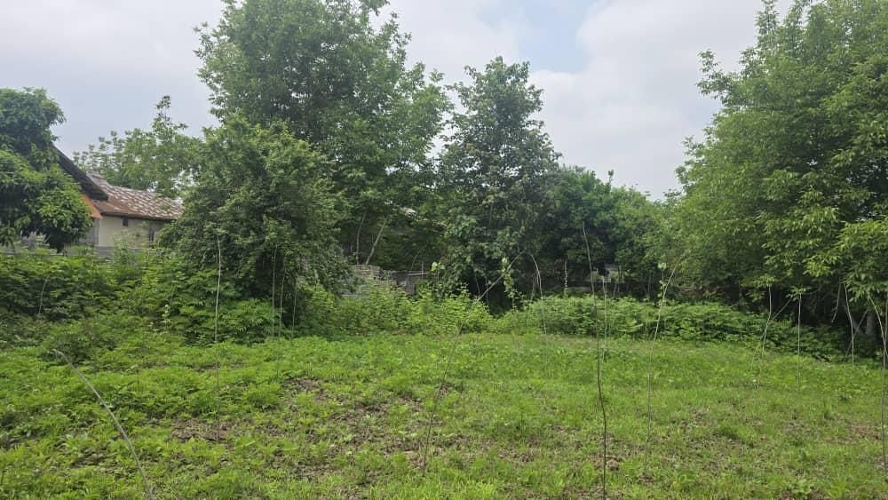 دو پلاک زمین ۲۸۲متری داخل بافت /قابل ساخت/کاسبی|فروش زمین و ملک کلنگی|لشت نشا, |دیوار