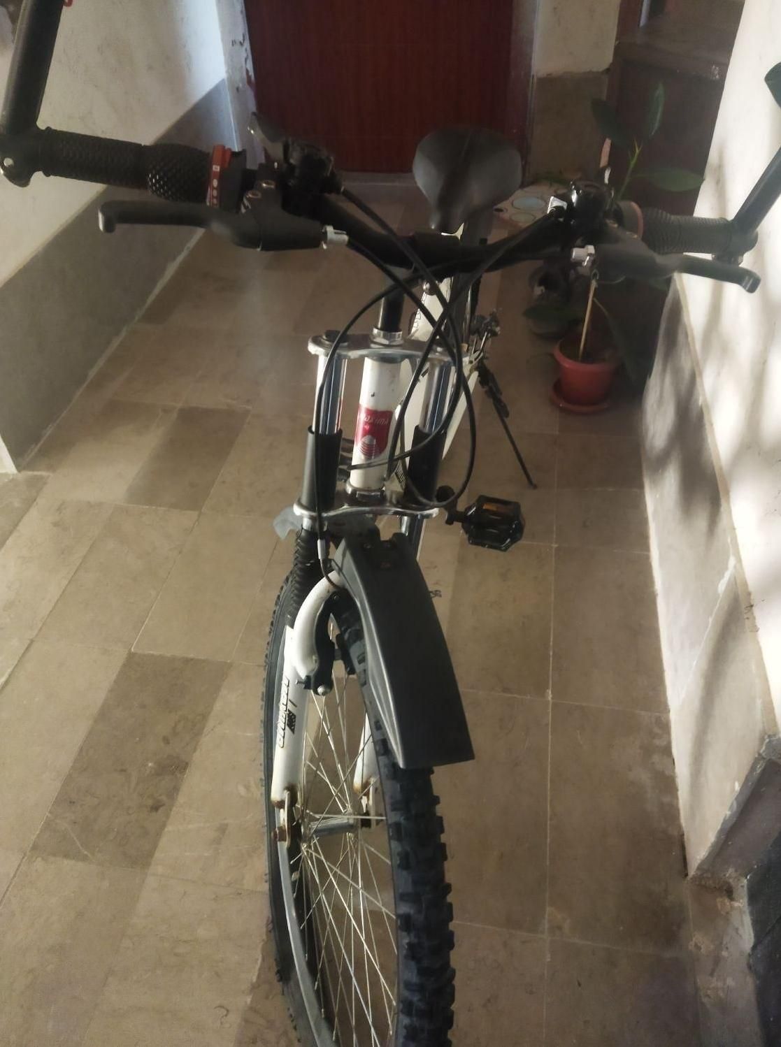 دوچرخه ۲۶ ماکسیما|دوچرخه، اسکیت، اسکوتر|صدرا-فارس, فاز ۱|دیوار