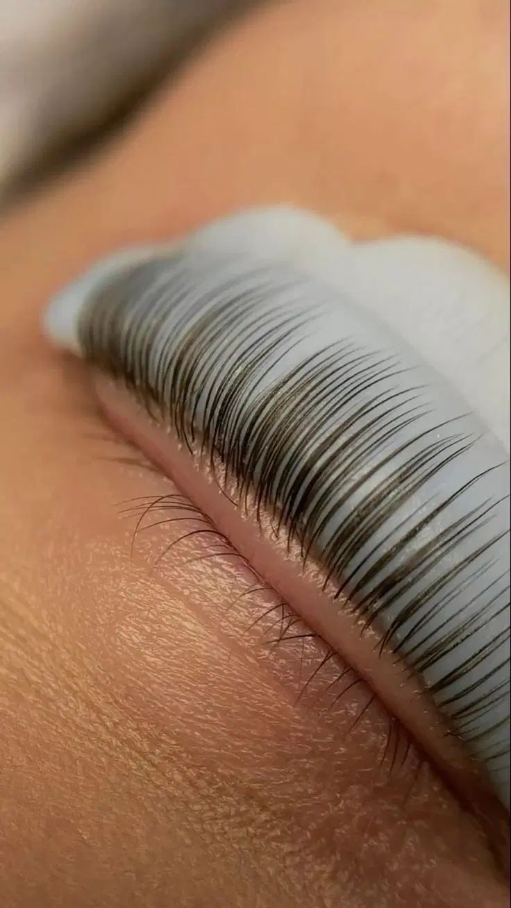 اکستنشن مژه/کاشت مژه/لیفت مژه وابرو/مژه|خدمات آرایشگری و زیبایی|مشهد, فردوسی|دیوار