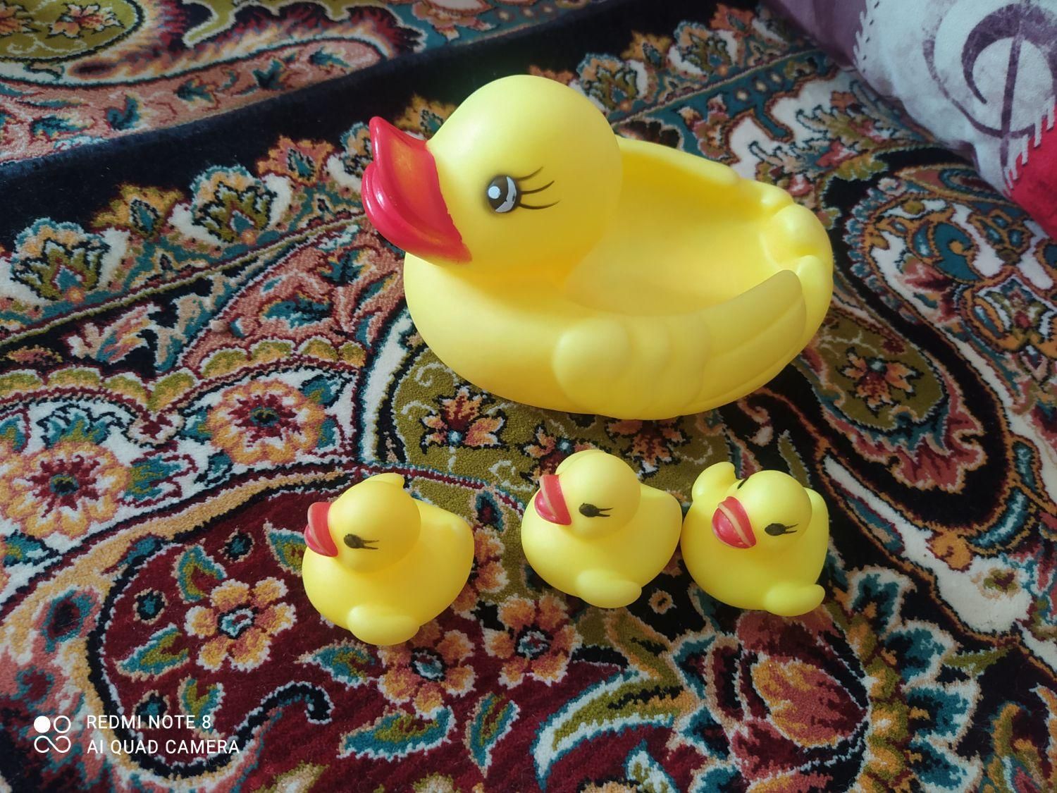 اردک اسباب بازی|اسباب‌‌بازی|رشت, پل تالشان|دیوار