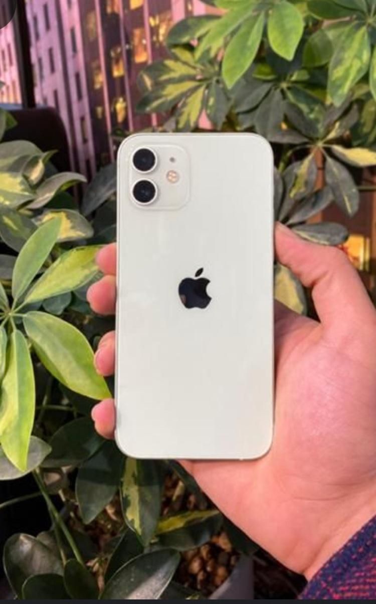 اپل iPhone 12 با حافظهٔ ۱۲۸ گیگابایت|موبایل|تهران, گیشا (کوی نصر)|دیوار