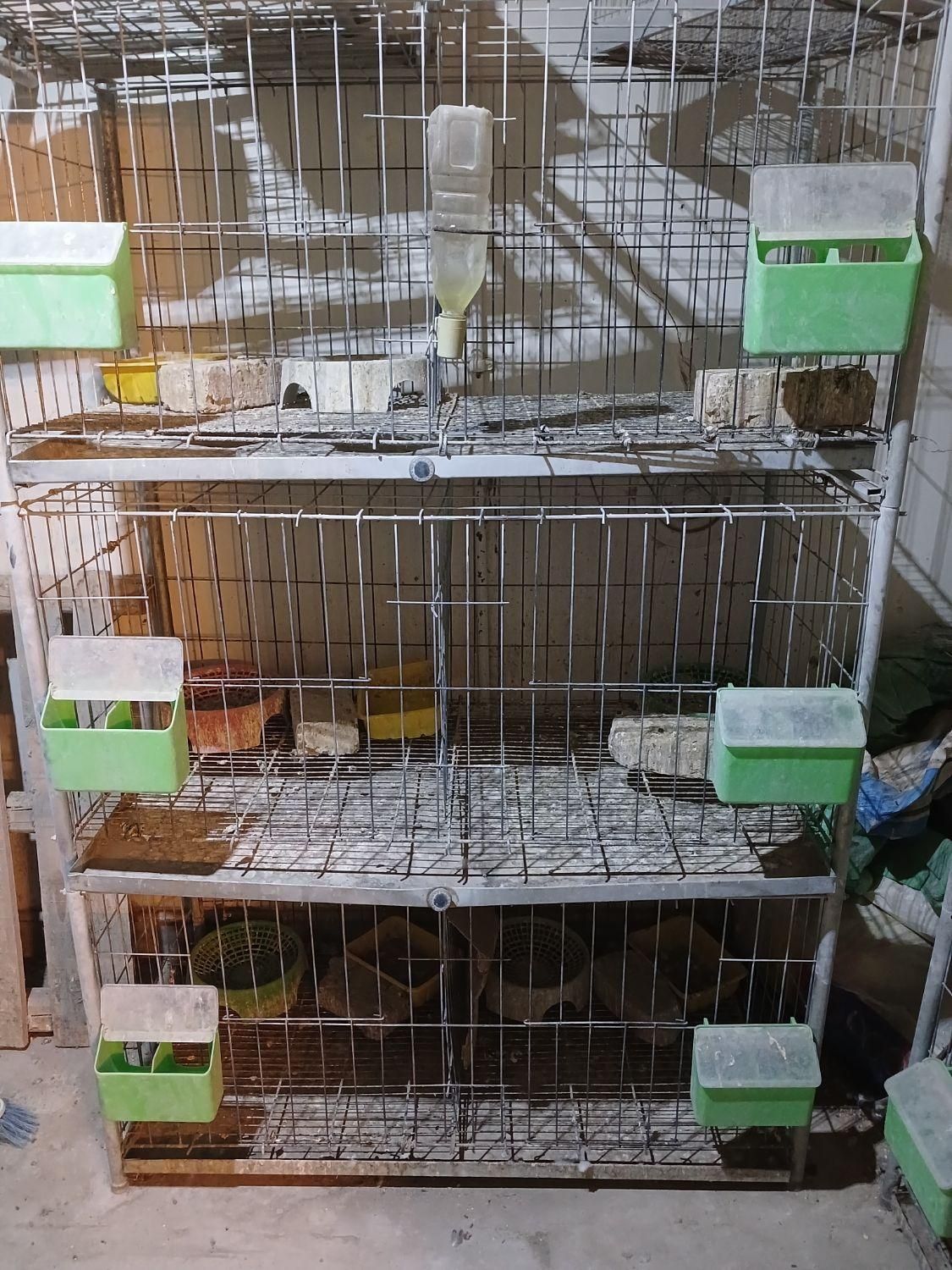 قفص قفس برای کبوتر خرقه دمگیر مرغ خروس|لوازم جانبی حیوانات|اصفهان, رزمندگان|دیوار