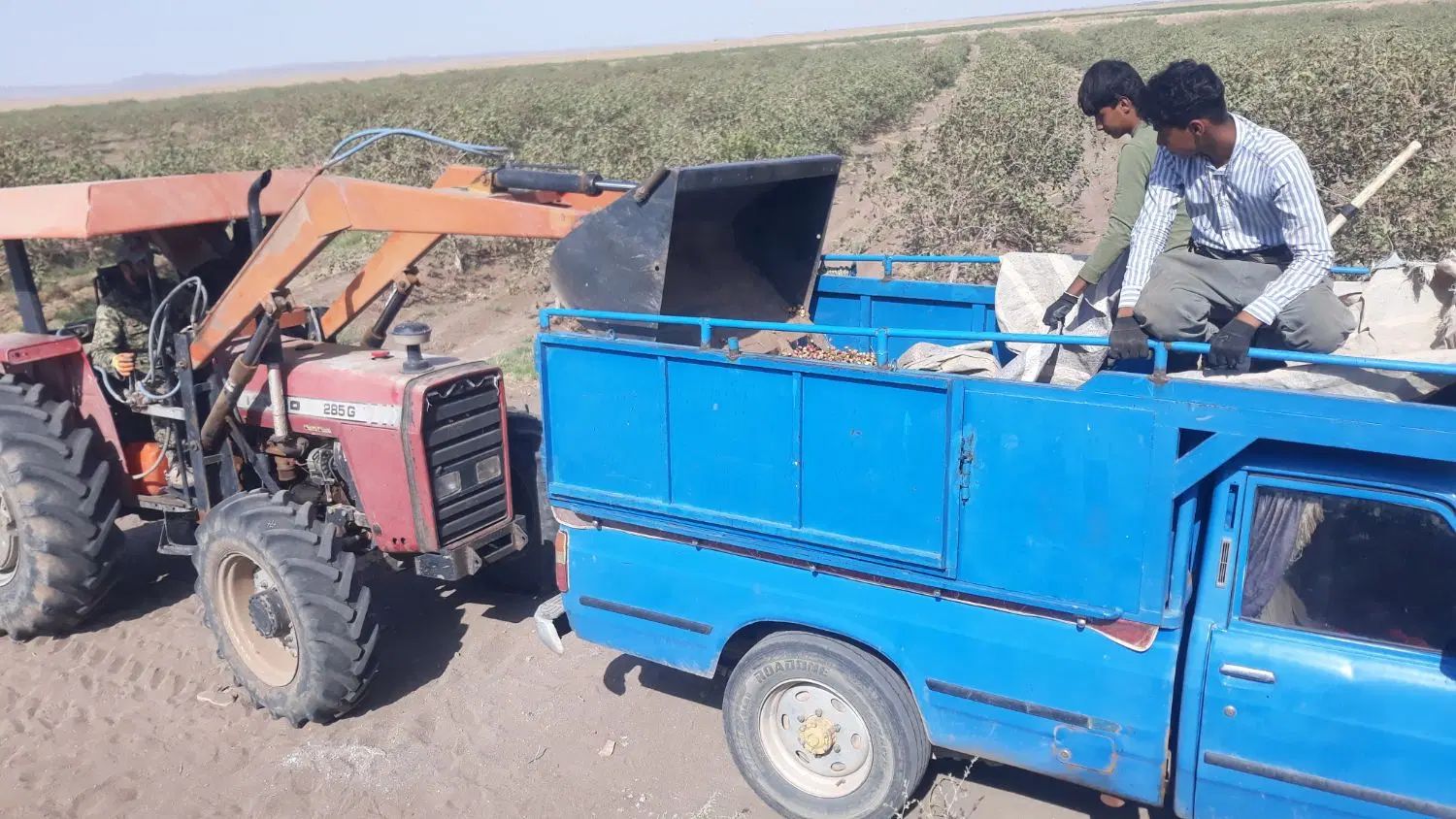تراکتور جفت ۲۸۵ فرگوسن صادراتی۹۳ ادوات جدا لودر|خودرو سنگین|نیشابور, شهرک اندیشه|دیوار