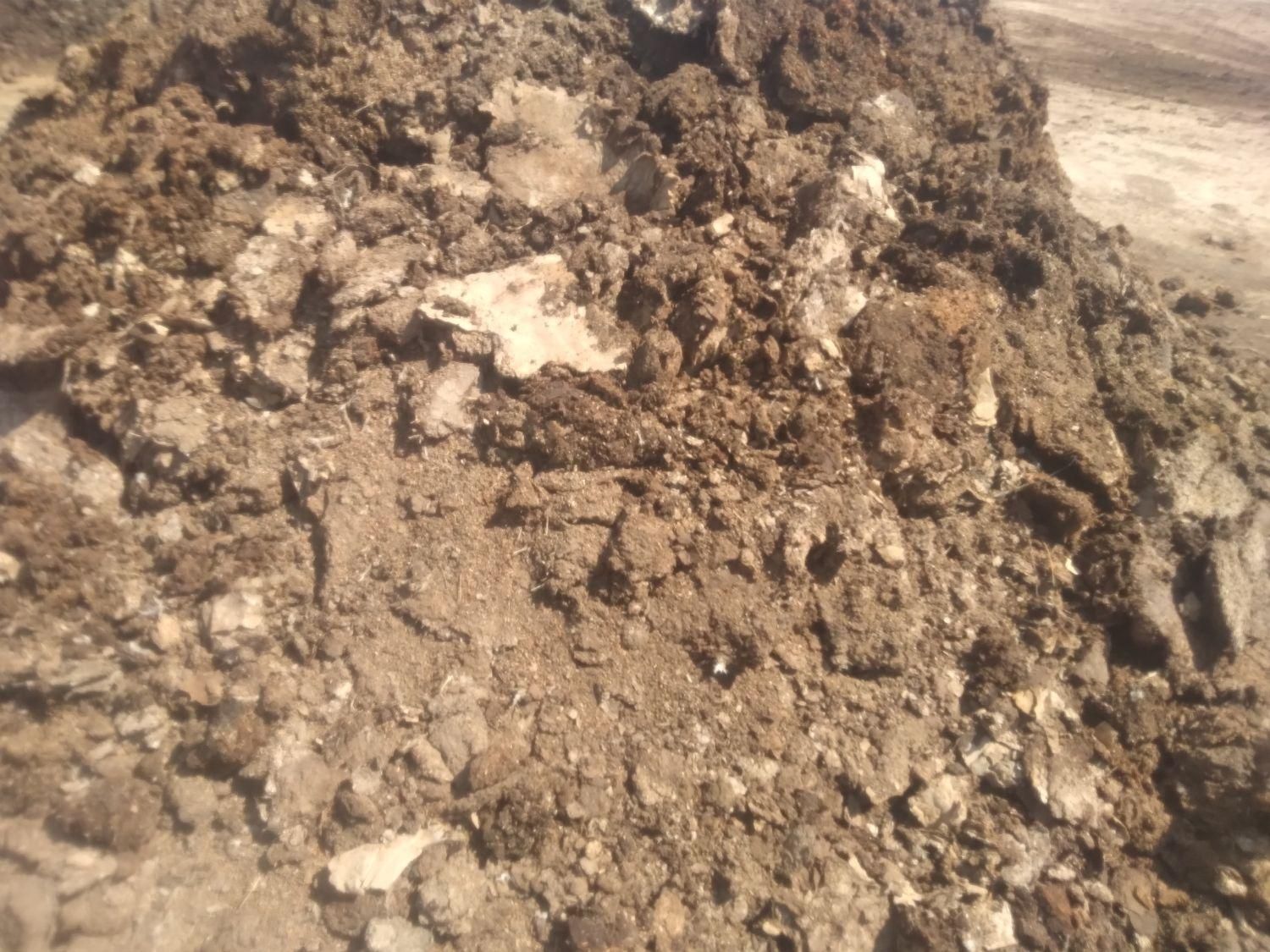 کود مرغ گوشتی|خدمات باغبانی و درختکاری|شیراز, گل سرخ|دیوار