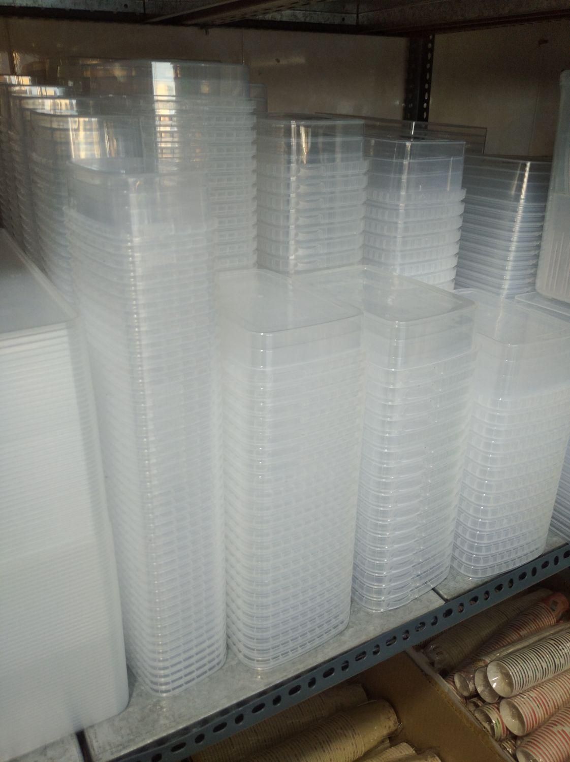 انواع ظروف یکبار مصرف|ظروف نگهدارنده، پلاستیکی، یک‌بارمصرف|سمنان, |دیوار