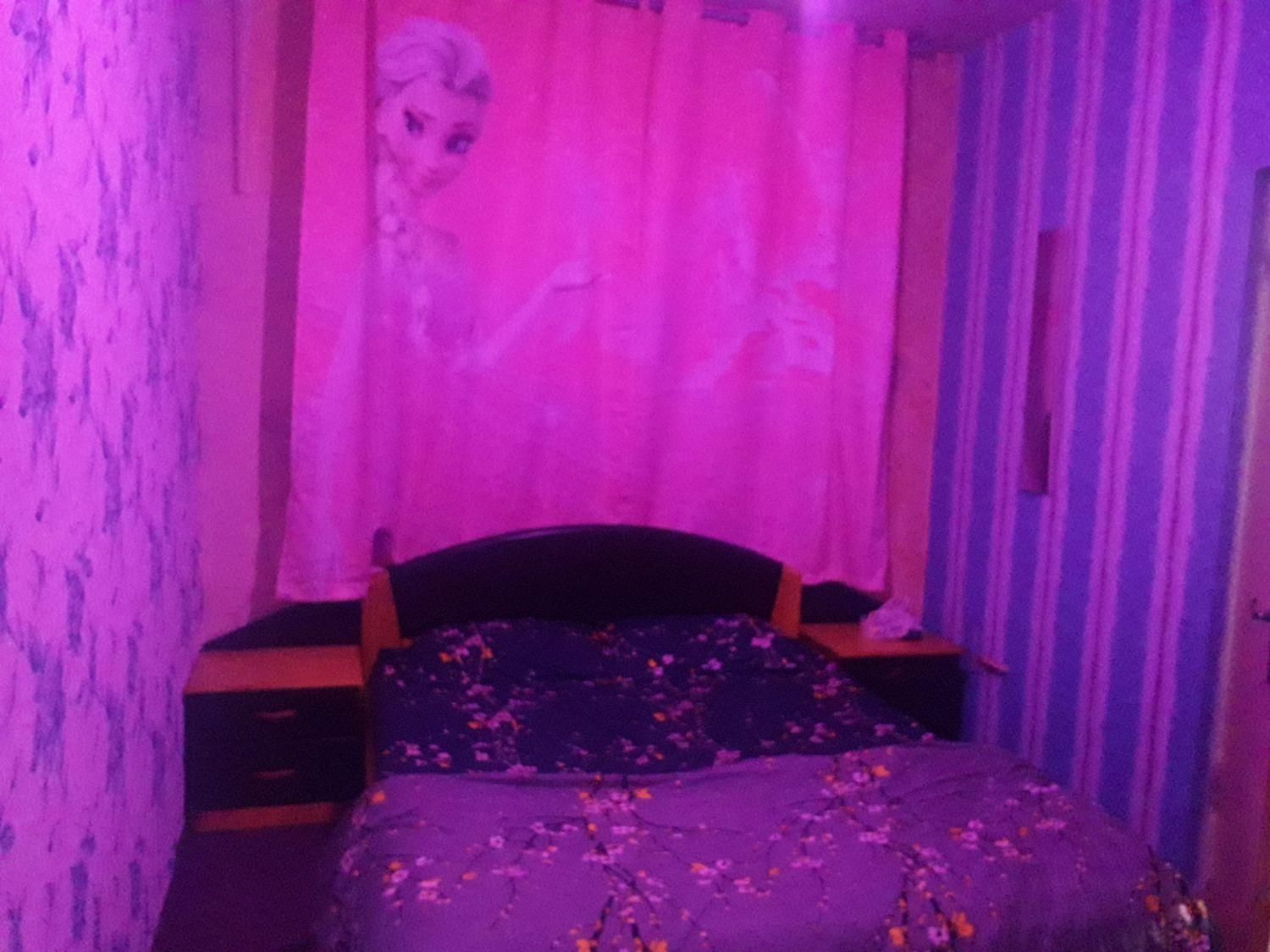 اجاره روزانه/هفتگی/ آپارتمان ۶۵ متری در شهرک رازی|اجارهٔ کوتاهمدت آپارتمان و سوئیت|مشهد, شهرک رازی (شهرک غرب)|دیوار