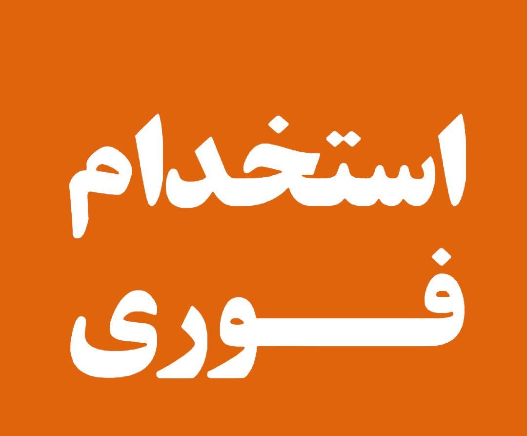 استخدامی مدیرفروش وبازاریاب حرفه ای|استخدام بازاریابی و فروش|بیرجند, |دیوار