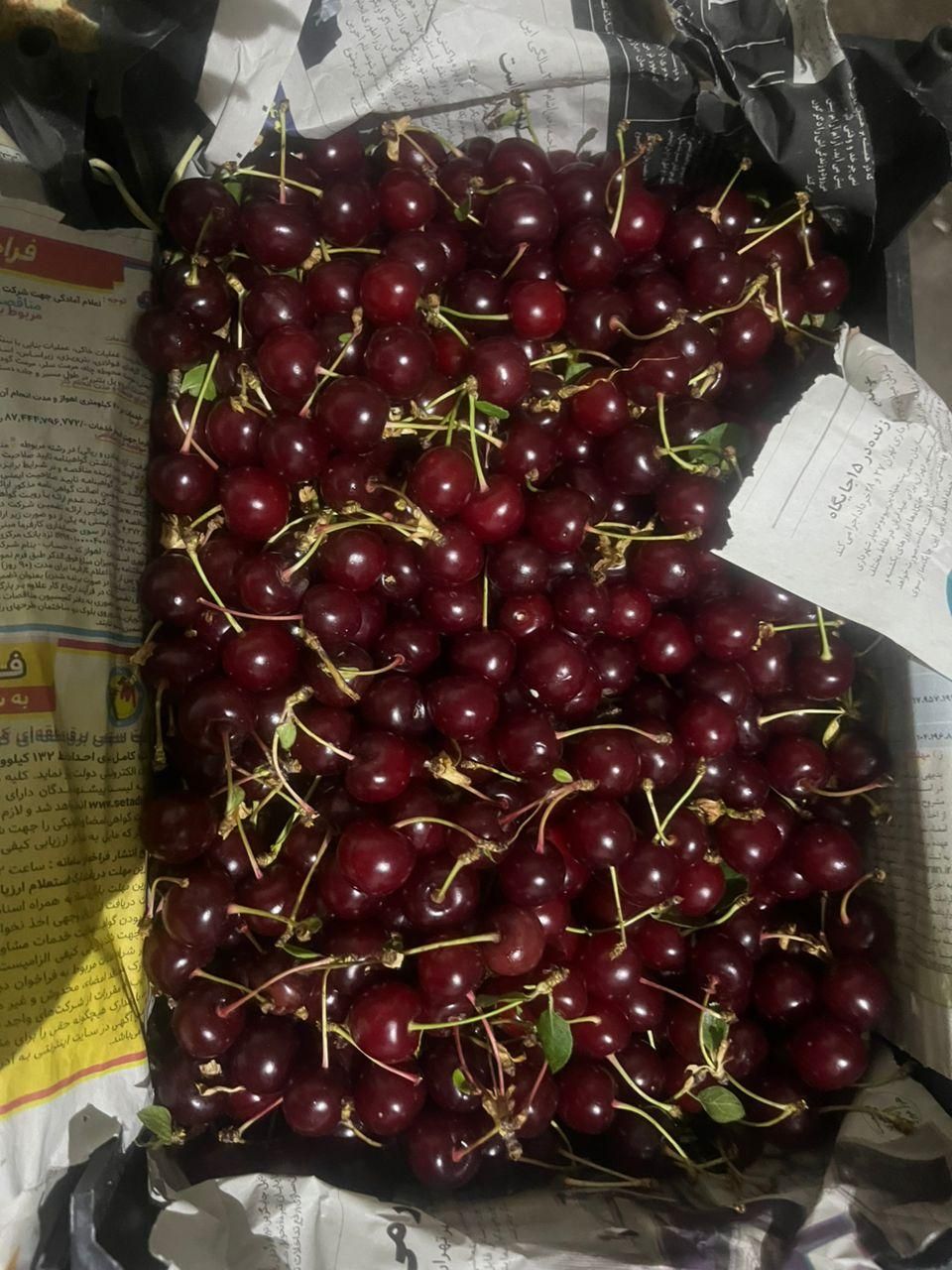 بسته بندی میوه و تره بار|استخدام صنعتی، فنی، مهندسی|شیراز, شهرک کوشکک|دیوار