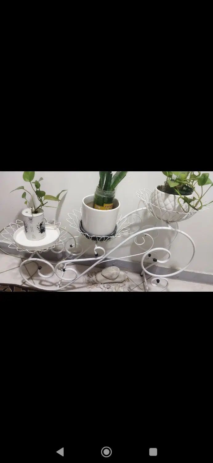 دکوری جای شیشه و گلدون فقط ۴۰۰|صنایع دستی و سایر لوازم تزئینی|کرج, حیدرآباد|دیوار